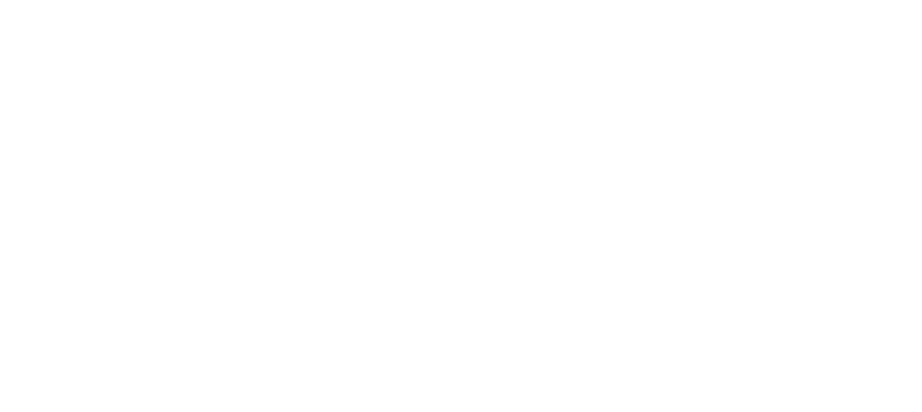 Women Empowering Women Institute logo